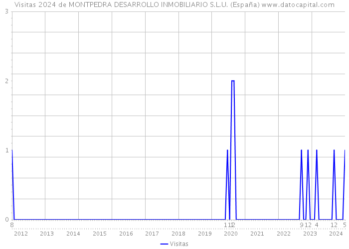 Visitas 2024 de MONTPEDRA DESARROLLO INMOBILIARIO S.L.U. (España) 
