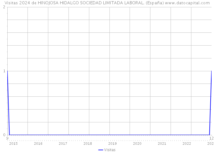 Visitas 2024 de HINOJOSA HIDALGO SOCIEDAD LIMITADA LABORAL. (España) 