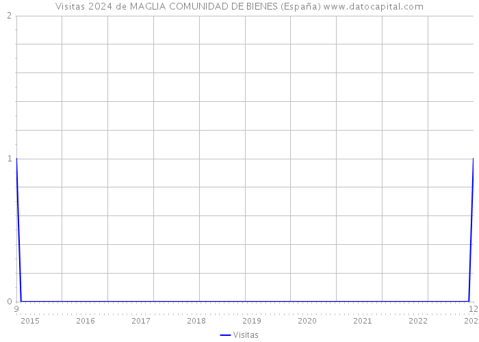 Visitas 2024 de MAGLIA COMUNIDAD DE BIENES (España) 