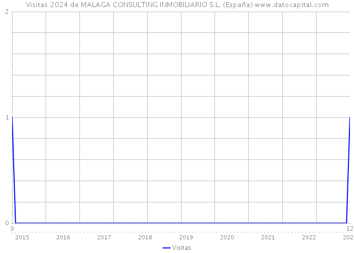 Visitas 2024 de MALAGA CONSULTING INMOBILIARIO S.L. (España) 