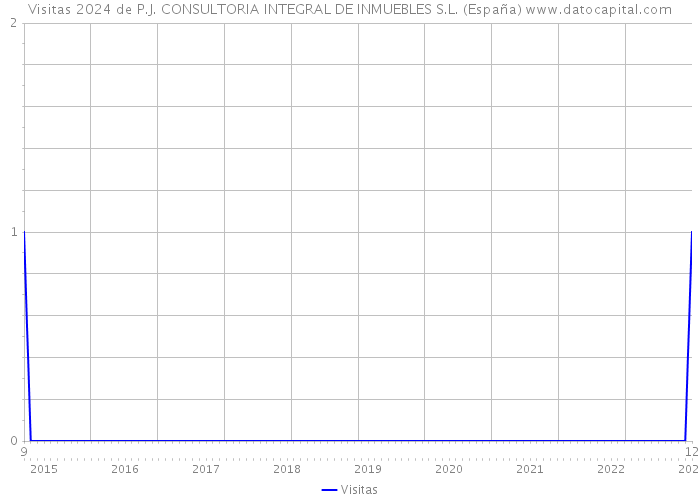Visitas 2024 de P.J. CONSULTORIA INTEGRAL DE INMUEBLES S.L. (España) 