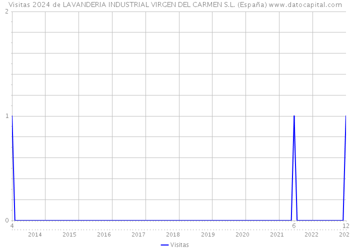 Visitas 2024 de LAVANDERIA INDUSTRIAL VIRGEN DEL CARMEN S.L. (España) 