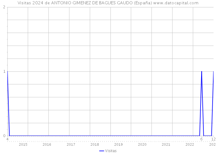 Visitas 2024 de ANTONIO GIMENEZ DE BAGUES GAUDO (España) 