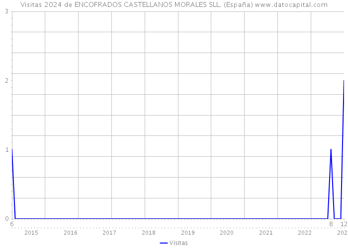 Visitas 2024 de ENCOFRADOS CASTELLANOS MORALES SLL. (España) 