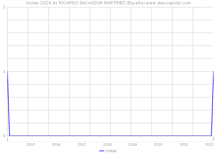 Visitas 2024 de RICARDO SALVADOR MARTINEZ (España) 