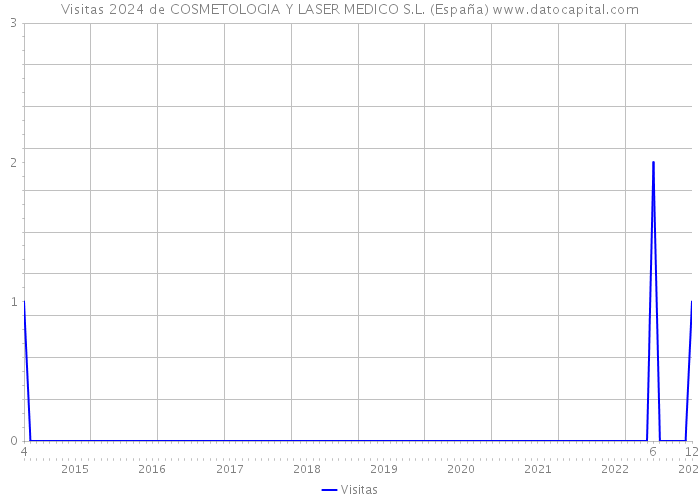 Visitas 2024 de COSMETOLOGIA Y LASER MEDICO S.L. (España) 