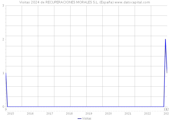 Visitas 2024 de RECUPERACIONES MORALES S.L. (España) 
