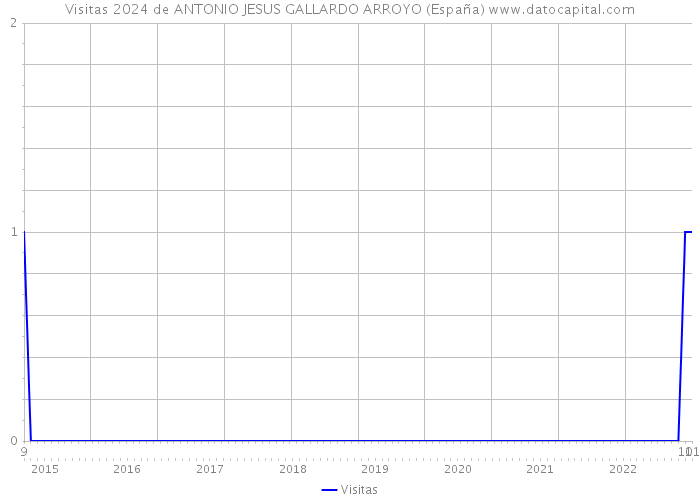 Visitas 2024 de ANTONIO JESUS GALLARDO ARROYO (España) 