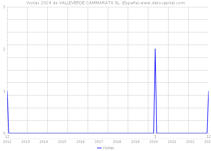 Visitas 2024 de VALLEVERDE CAMMARATA SL. (España) 