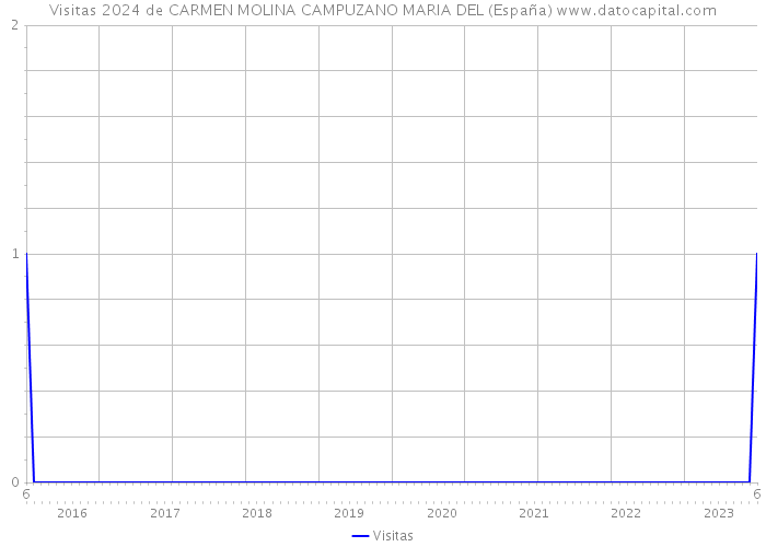 Visitas 2024 de CARMEN MOLINA CAMPUZANO MARIA DEL (España) 