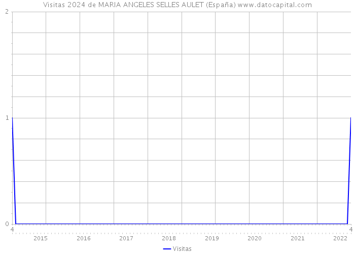 Visitas 2024 de MARIA ANGELES SELLES AULET (España) 