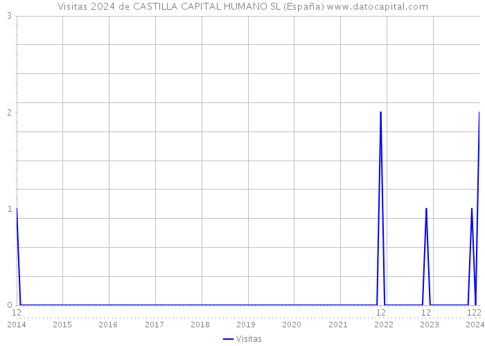 Visitas 2024 de CASTILLA CAPITAL HUMANO SL (España) 