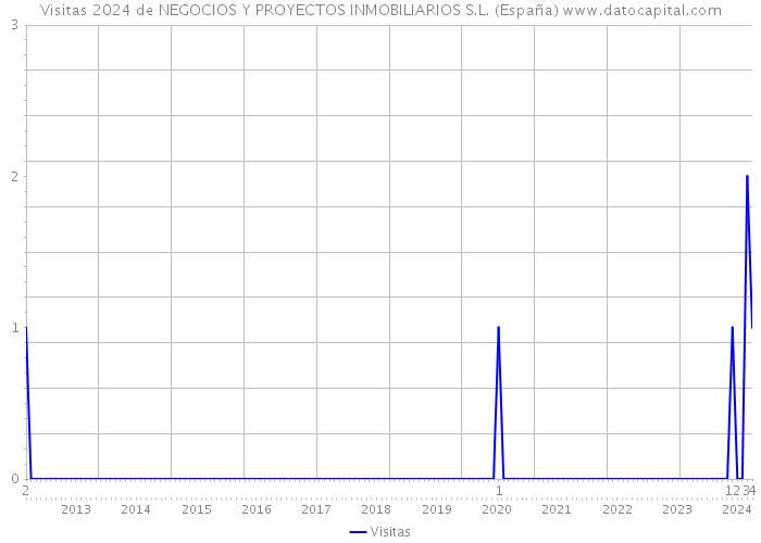 Visitas 2024 de NEGOCIOS Y PROYECTOS INMOBILIARIOS S.L. (España) 