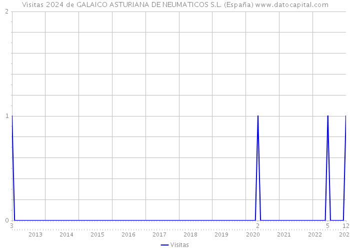 Visitas 2024 de GALAICO ASTURIANA DE NEUMATICOS S.L. (España) 