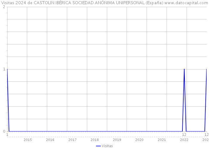 Visitas 2024 de CASTOLIN IBÉRICA SOCIEDAD ANÓNIMA UNIPERSONAL (España) 