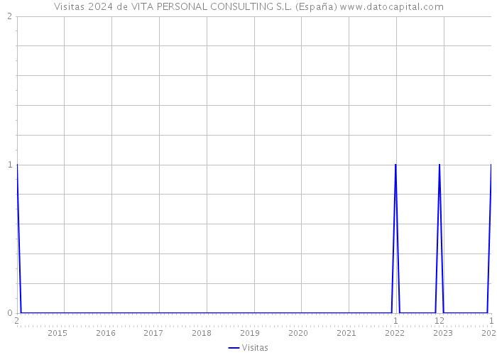 Visitas 2024 de VITA PERSONAL CONSULTING S.L. (España) 