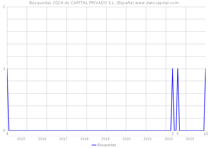 Búsquedas 2024 de CAPITAL PRIVADO S.L. (España) 