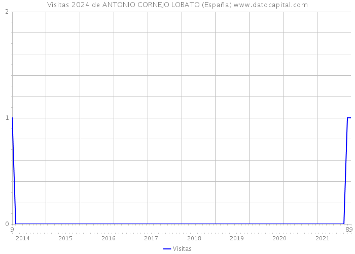 Visitas 2024 de ANTONIO CORNEJO LOBATO (España) 