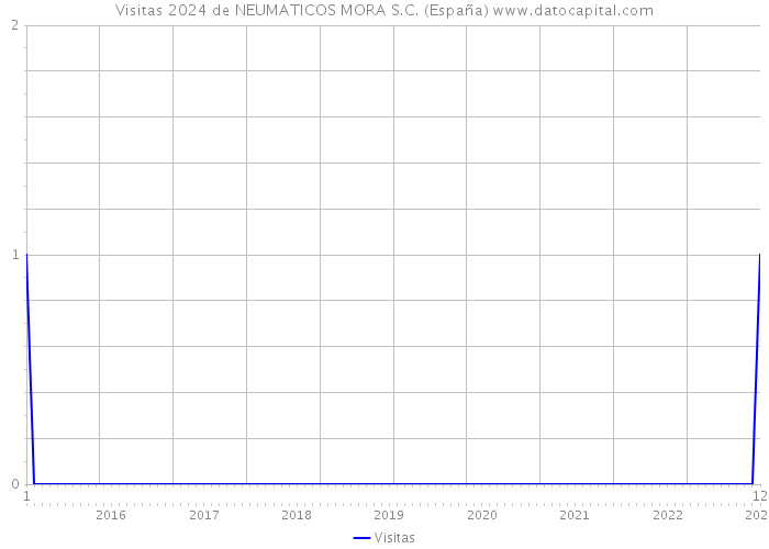 Visitas 2024 de NEUMATICOS MORA S.C. (España) 