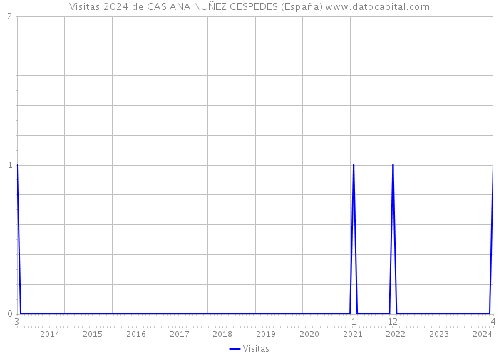 Visitas 2024 de CASIANA NUÑEZ CESPEDES (España) 