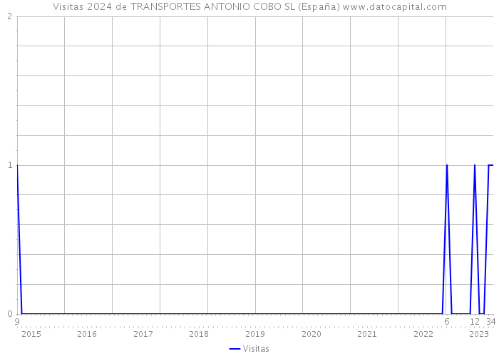 Visitas 2024 de TRANSPORTES ANTONIO COBO SL (España) 