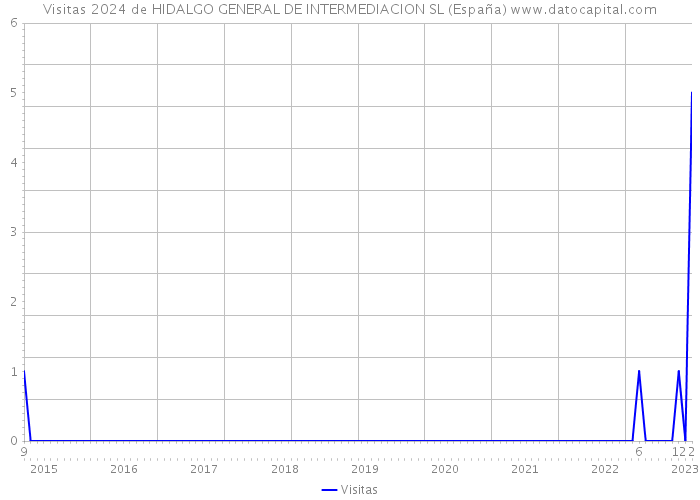 Visitas 2024 de HIDALGO GENERAL DE INTERMEDIACION SL (España) 