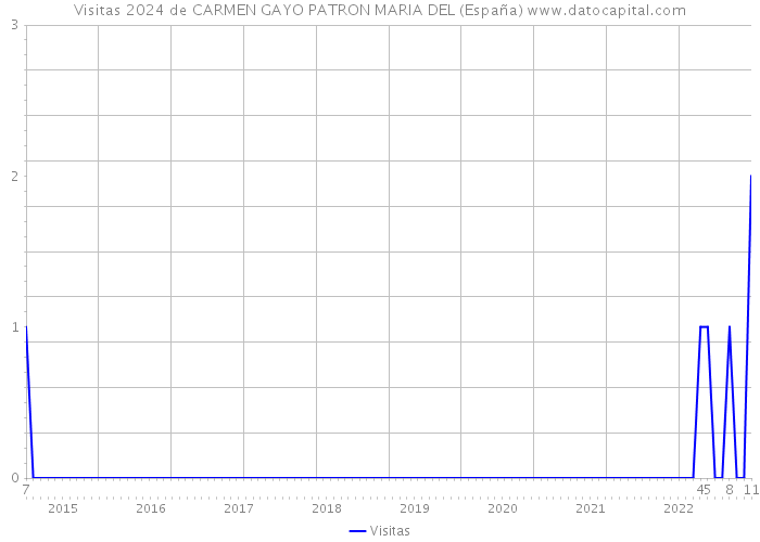 Visitas 2024 de CARMEN GAYO PATRON MARIA DEL (España) 