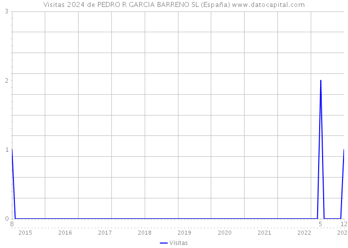 Visitas 2024 de PEDRO R GARCIA BARRENO SL (España) 