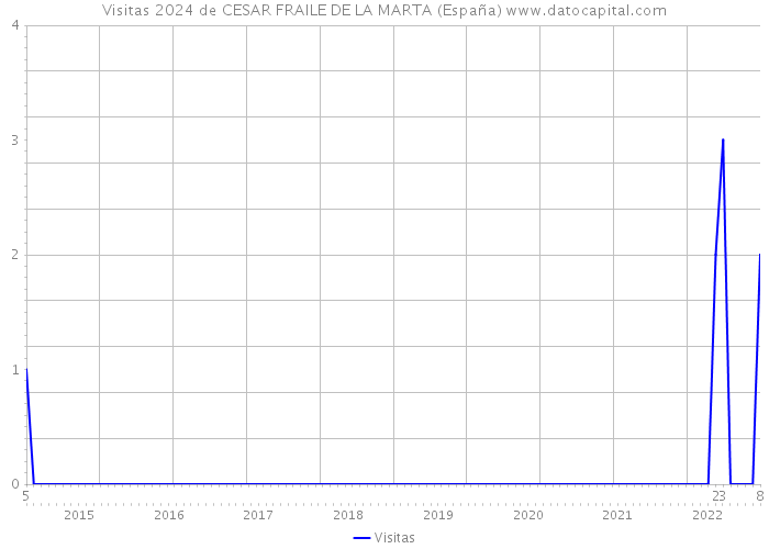 Visitas 2024 de CESAR FRAILE DE LA MARTA (España) 