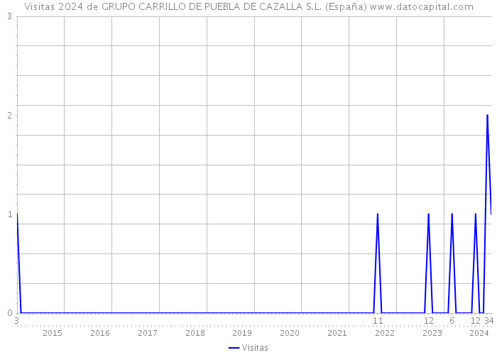 Visitas 2024 de GRUPO CARRILLO DE PUEBLA DE CAZALLA S.L. (España) 