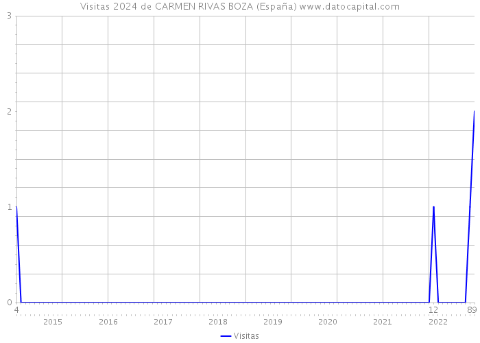 Visitas 2024 de CARMEN RIVAS BOZA (España) 