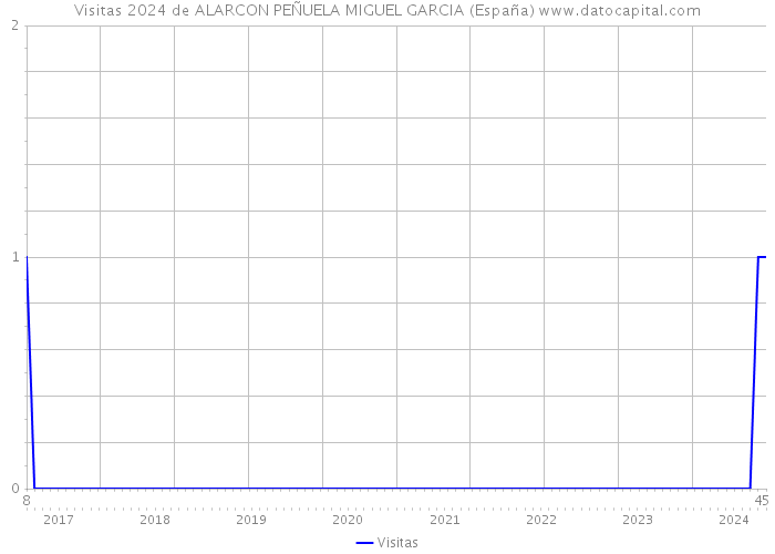 Visitas 2024 de ALARCON PEÑUELA MIGUEL GARCIA (España) 