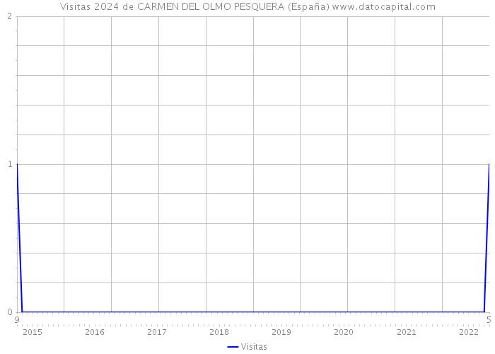 Visitas 2024 de CARMEN DEL OLMO PESQUERA (España) 