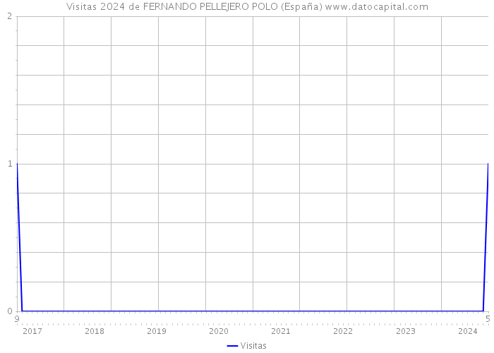 Visitas 2024 de FERNANDO PELLEJERO POLO (España) 