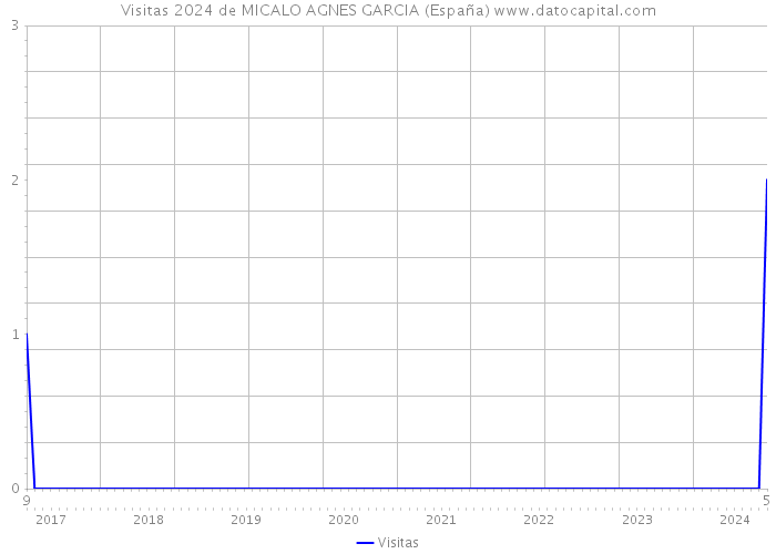Visitas 2024 de MICALO AGNES GARCIA (España) 