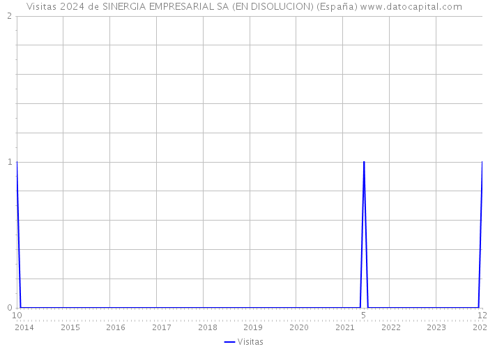 Visitas 2024 de SINERGIA EMPRESARIAL SA (EN DISOLUCION) (España) 