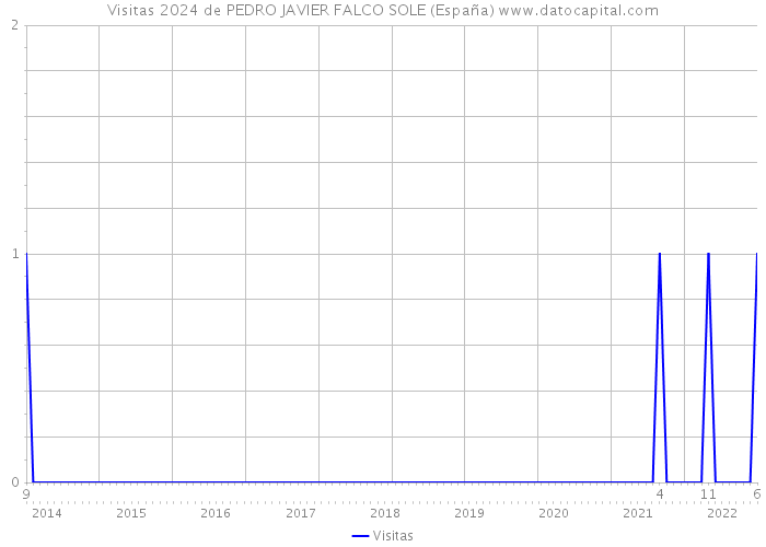 Visitas 2024 de PEDRO JAVIER FALCO SOLE (España) 