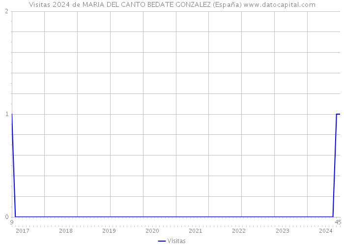 Visitas 2024 de MARIA DEL CANTO BEDATE GONZALEZ (España) 