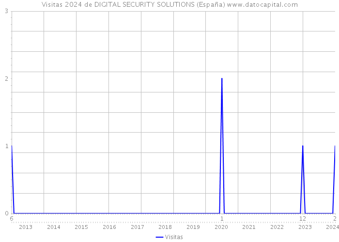 Visitas 2024 de DIGITAL SECURITY SOLUTIONS (España) 