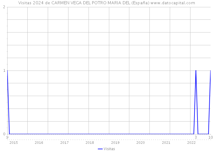 Visitas 2024 de CARMEN VEGA DEL POTRO MARIA DEL (España) 
