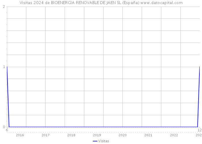 Visitas 2024 de BIOENERGIA RENOVABLE DE JAEN SL (España) 