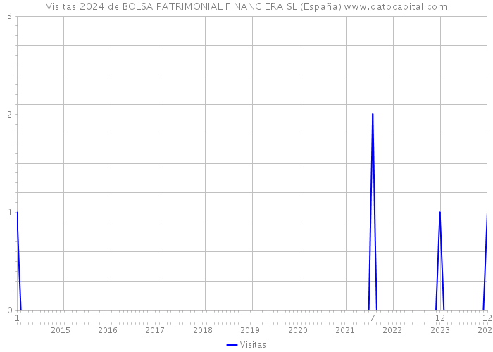 Visitas 2024 de BOLSA PATRIMONIAL FINANCIERA SL (España) 