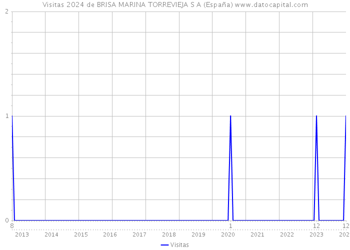 Visitas 2024 de BRISA MARINA TORREVIEJA S A (España) 