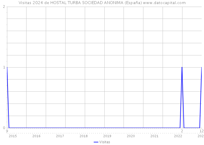 Visitas 2024 de HOSTAL TURBA SOCIEDAD ANONIMA (España) 