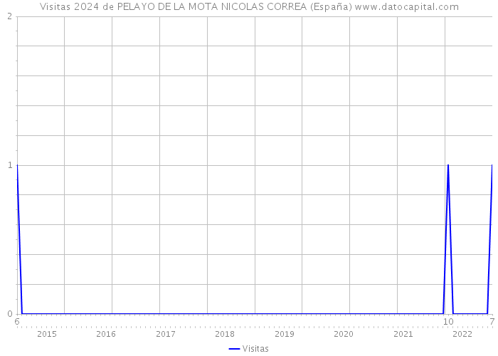 Visitas 2024 de PELAYO DE LA MOTA NICOLAS CORREA (España) 
