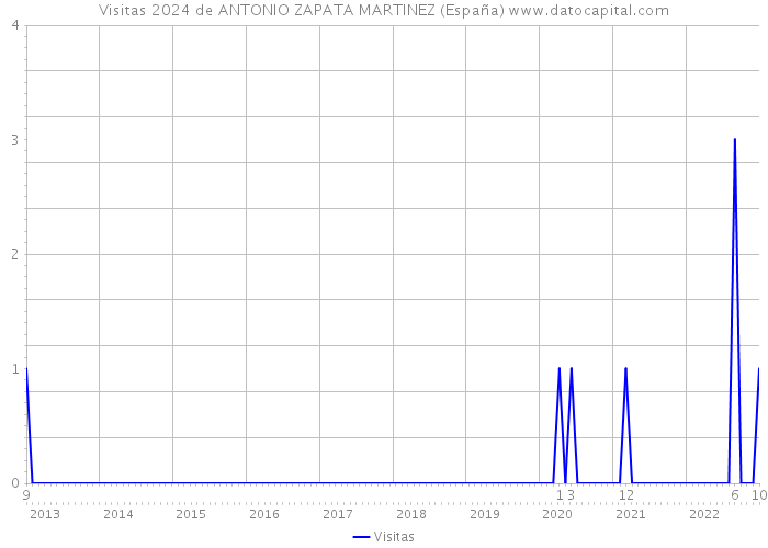 Visitas 2024 de ANTONIO ZAPATA MARTINEZ (España) 
