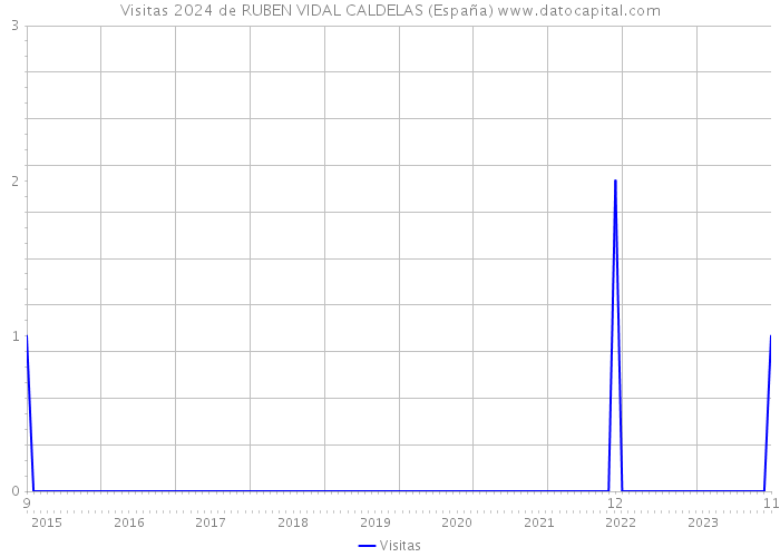 Visitas 2024 de RUBEN VIDAL CALDELAS (España) 