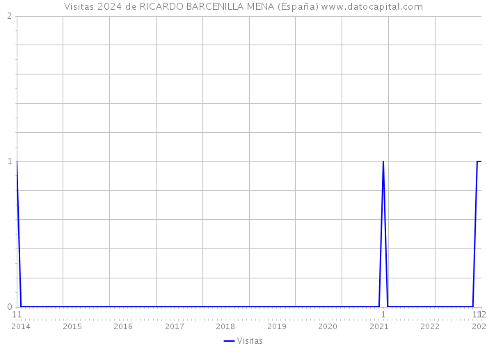 Visitas 2024 de RICARDO BARCENILLA MENA (España) 