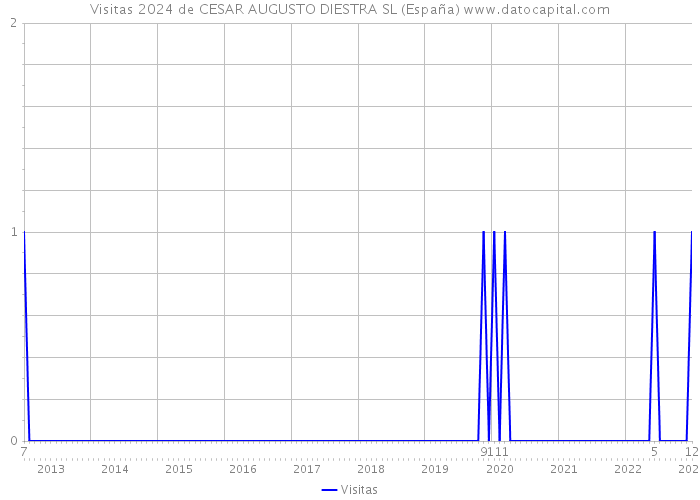 Visitas 2024 de CESAR AUGUSTO DIESTRA SL (España) 