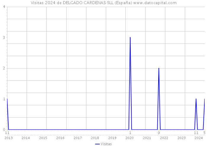 Visitas 2024 de DELGADO CARDENAS SLL (España) 